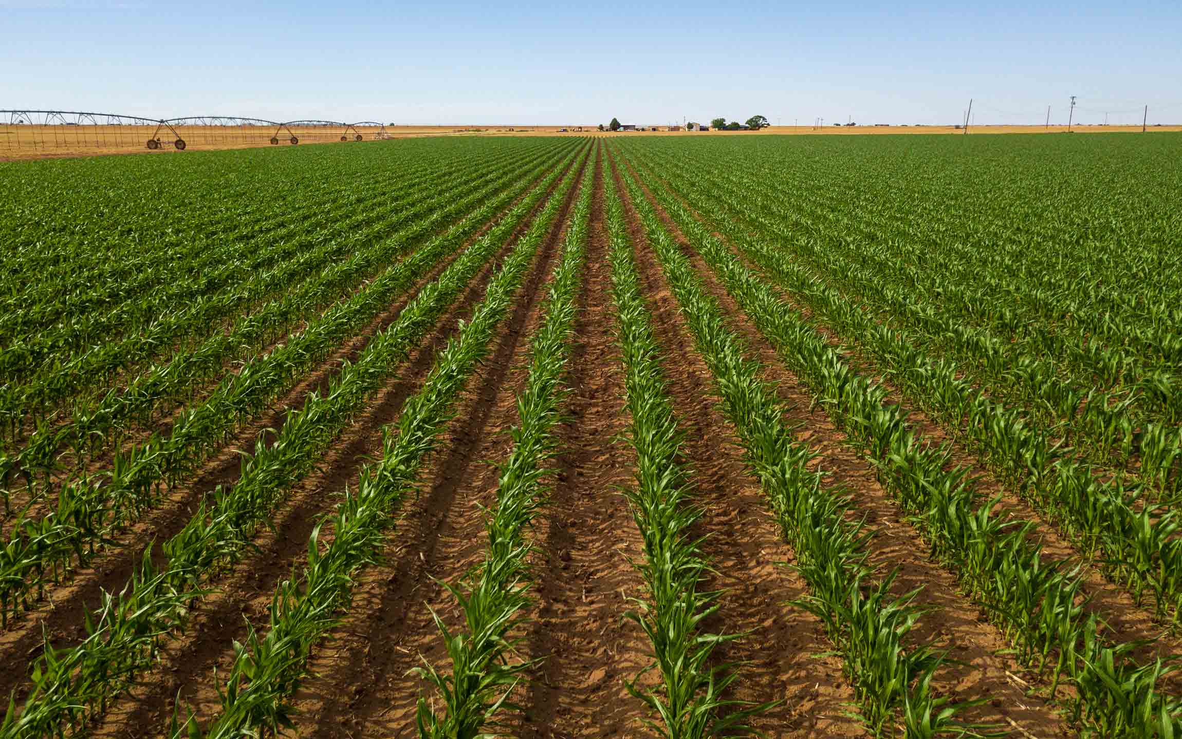 Add Biologicals for a Higher ROI